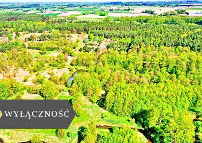 działka na sprzedaż - Lipno, Maliszewo