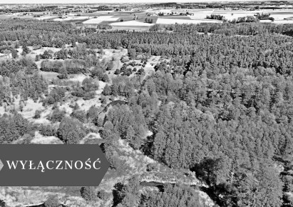 działka na sprzedaż - Lipno, Maliszewo