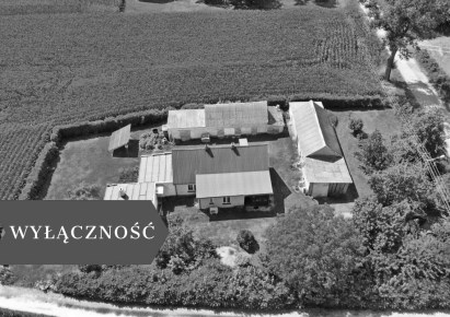 dom na sprzedaż - Dobre, Bodzanowo