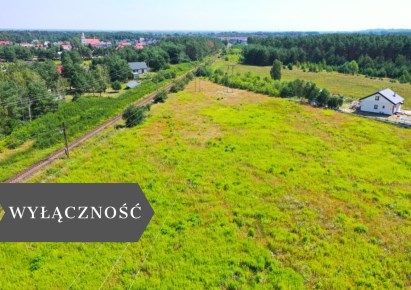 działka na sprzedaż - Aleksandrów Kujawski (gw), Odolion