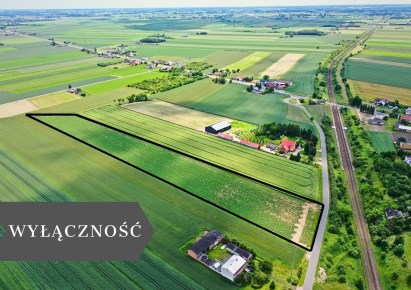 działka na sprzedaż - Kowal, Gołaszewo