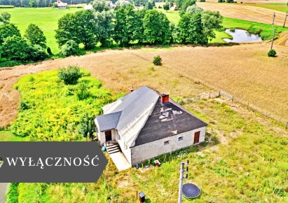 dom na sprzedaż - Fabianki, Nowy Witoszyn