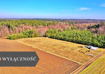 działka na sprzedaż - Lipno, Piątki