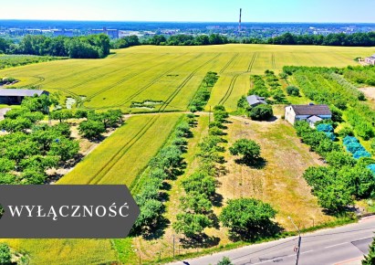 działka na sprzedaż - Włocławek, Zawiśle